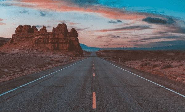 Black Friday Special