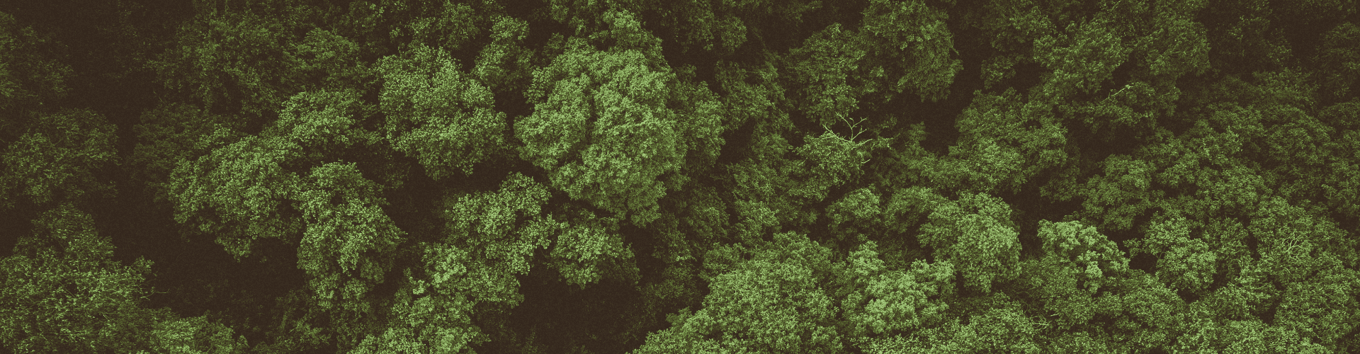 Road Bear RV Sustainability