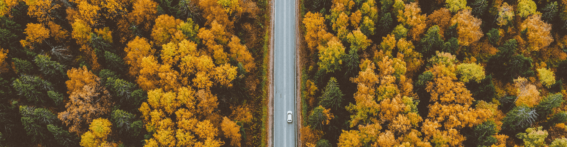 Road Bear RV New York