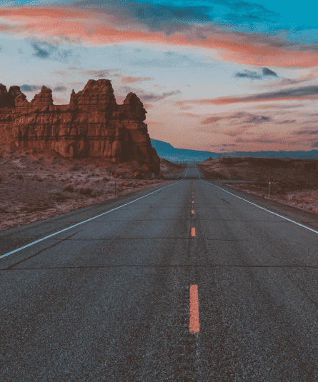 Black Friday Special